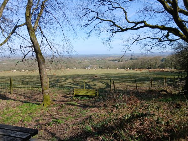 View to hills in distance